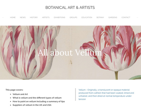 All About Vellum for Botanical Art and Artists