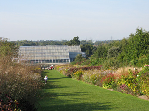 Glasshouse at Wisley