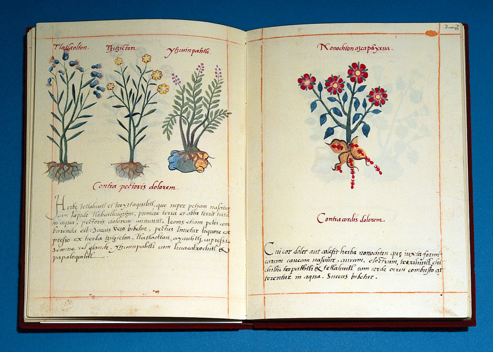 Badianus Codex (facsimile)
