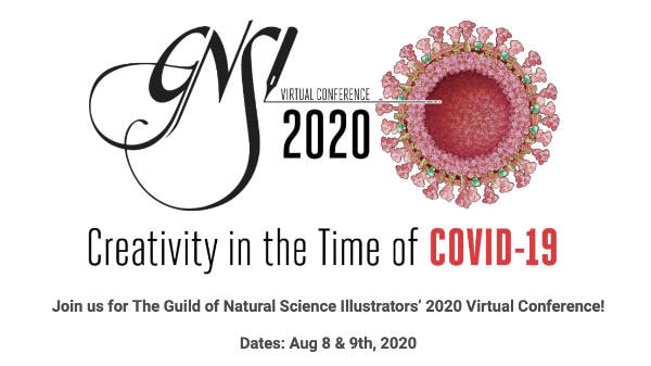 GNSI Virtual Conference 2020