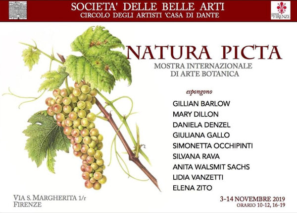 Natura Picta International Exhibition Of Botanical Art Botanical Art Artists