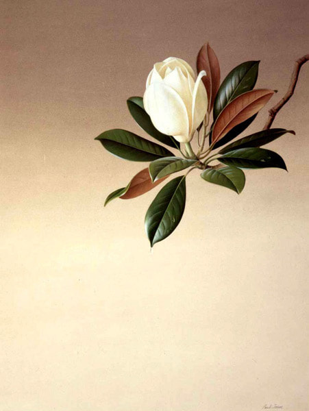 Modern Masterpieces of Botanical Art #6: Australasian Artists