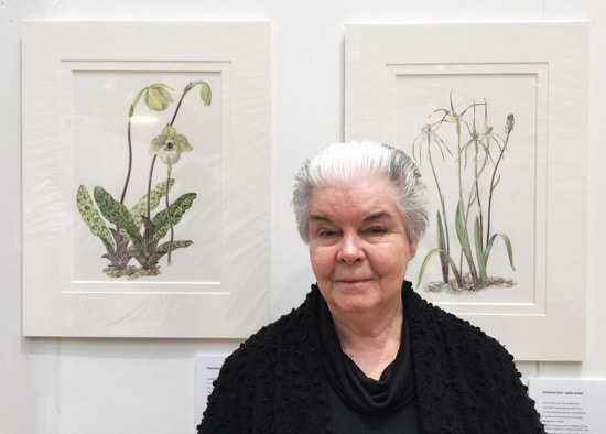 Sandra Sanger and two of her paintings of Orchids: Paphiopedilum and Australian Natives