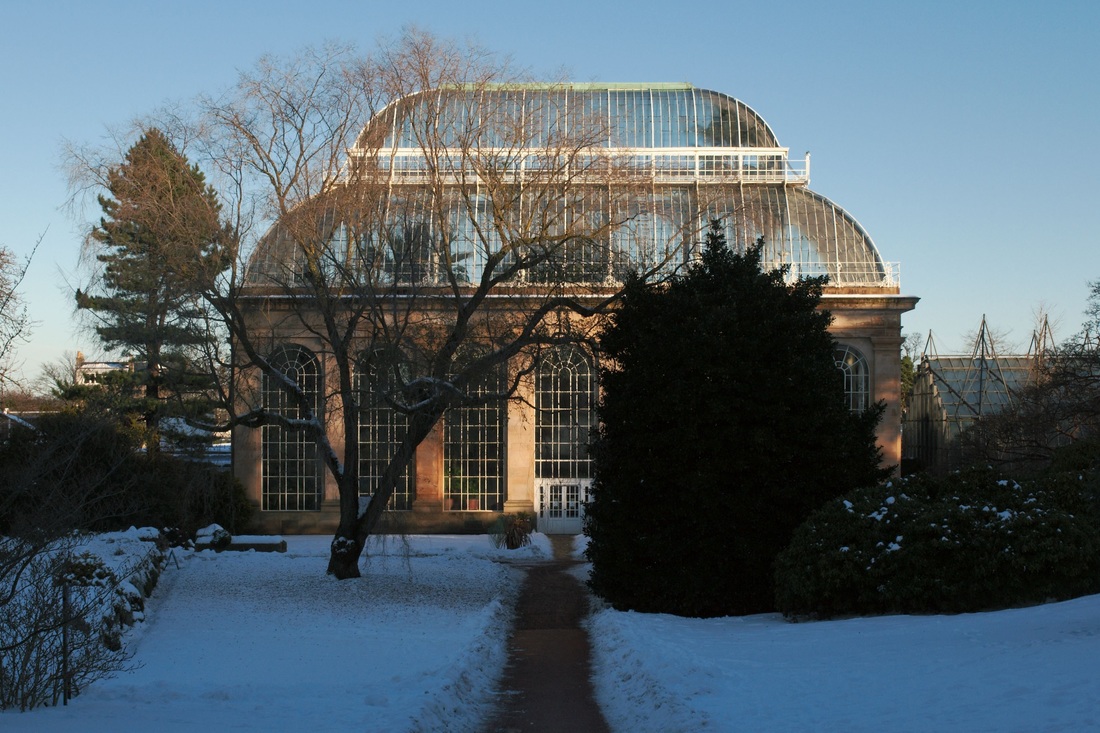 Royal Botanic Garden, Edinburgh in December