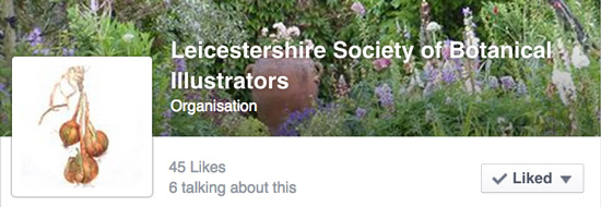 Leicestershire Society of Botanical Illustrators - Facebook Page