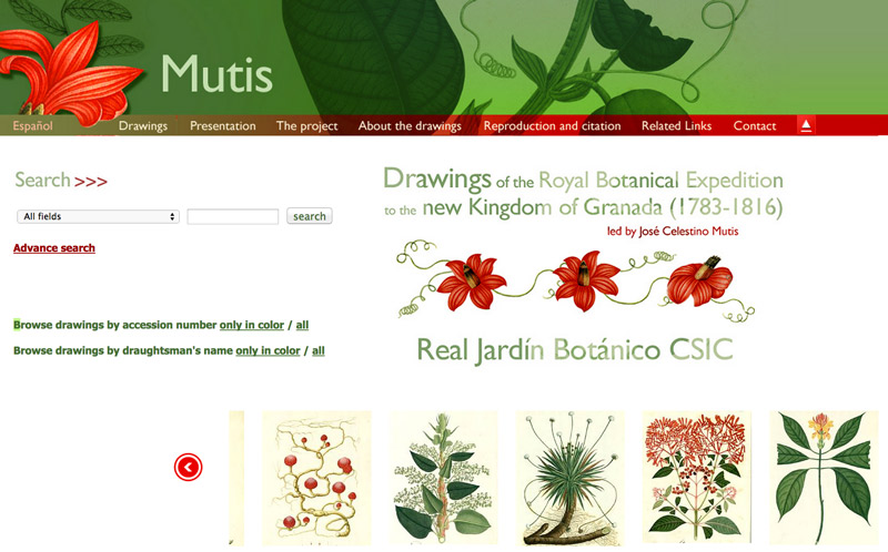 Read Jadrin Botanico CSIC Drawings