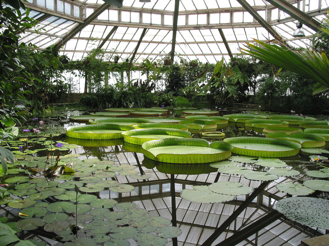 Botanic Gardens in Europe - BOTANICAL ART & ARTISTS