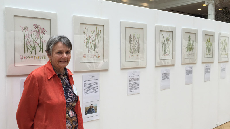 Margaret de Villers at the 2016 RHS London Botanical Art Show