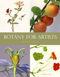 Botany for Artists Lizabeth Leech