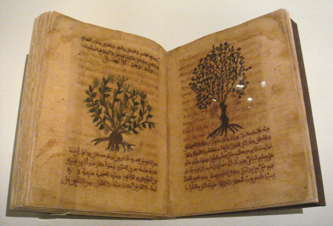 De Materia Medica by Dioscorides - Spain 12th 13th century 