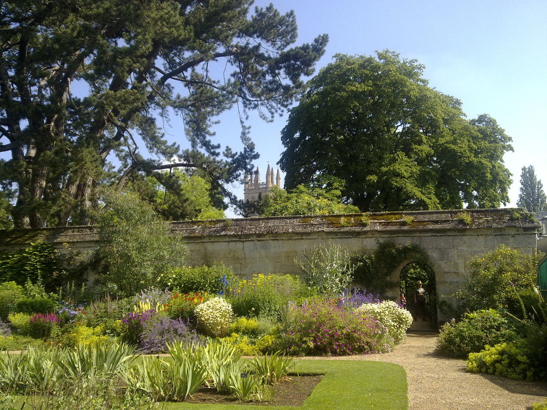 botanic, physic, medicinal and rhs gardens in uk - botanical art