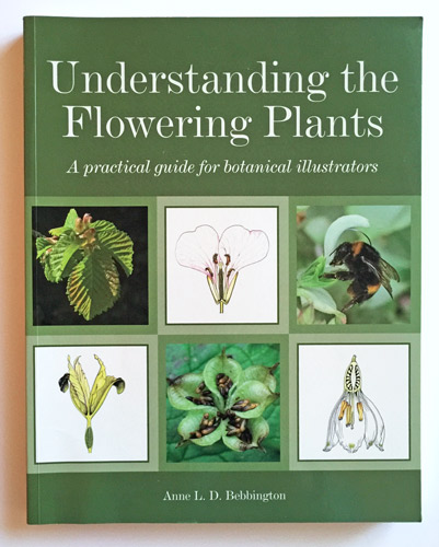 Botanical Book for Artists: Understanding the Flowering Plants