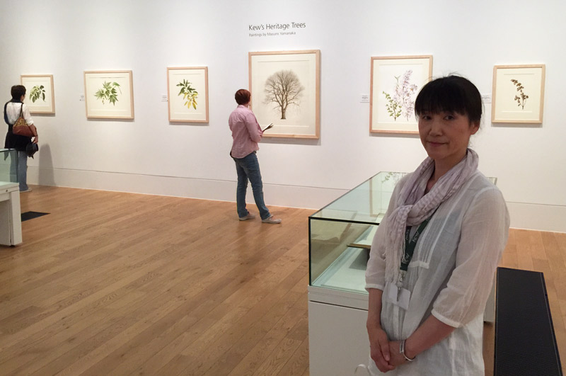 Masumi Yamanaka with her paintings in the main gallery of the Shirley Sherwood Gallery of Botanical Art