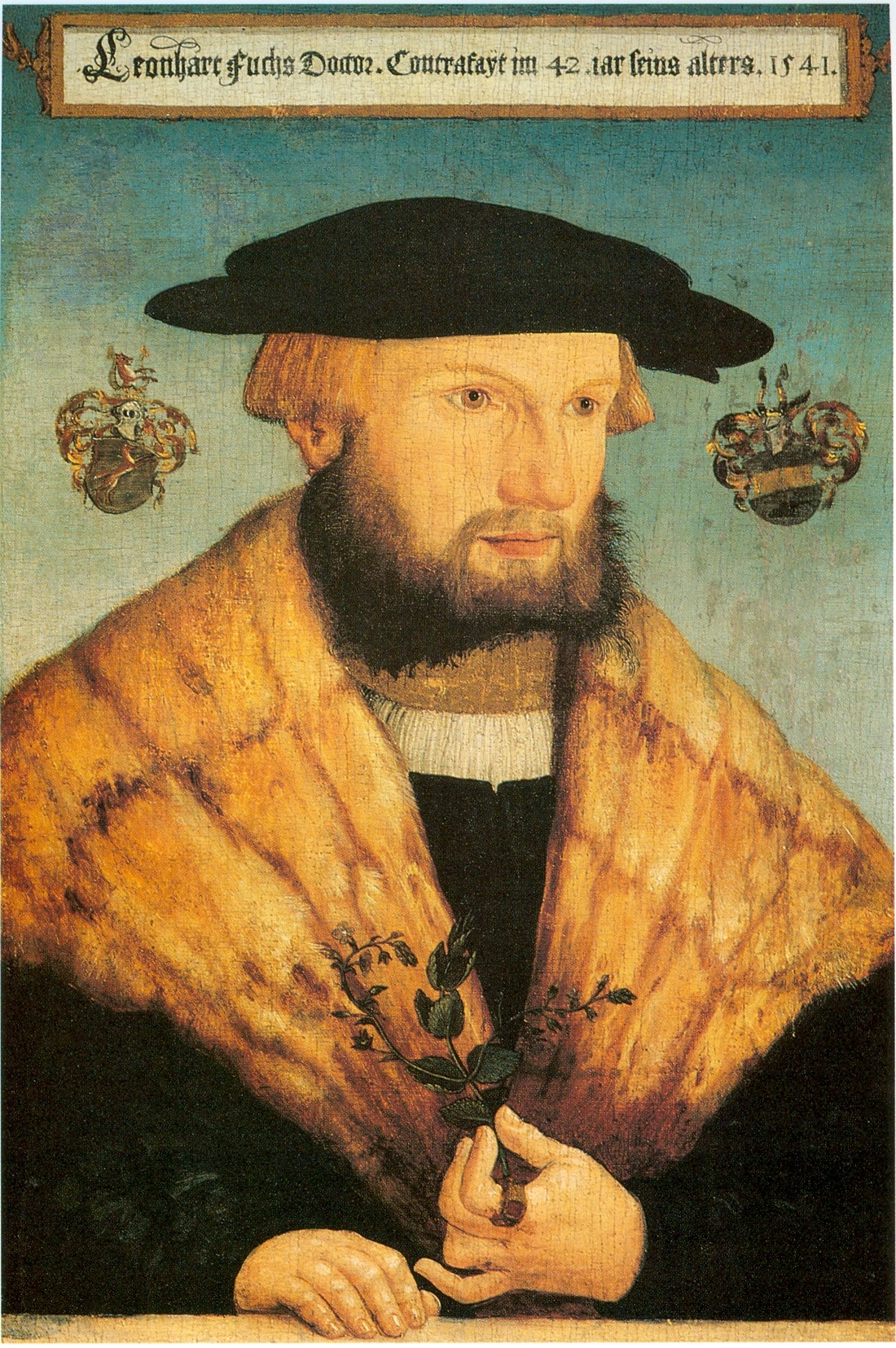 Portrait of Leonhart Fuchs (1501-1566)