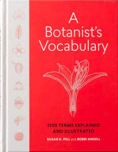 A Botanist's Vocabulary by Bobbi Angell