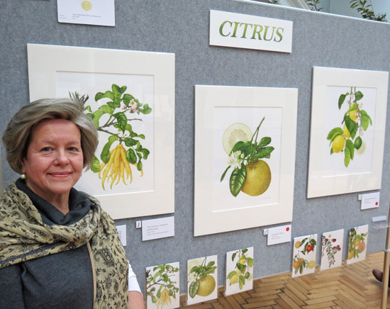 Annie Hughes with her her exhibit of Citrus Fruits (2013)