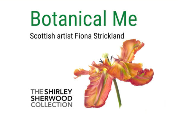 Botanical Me The Shirley Sherwood Collection