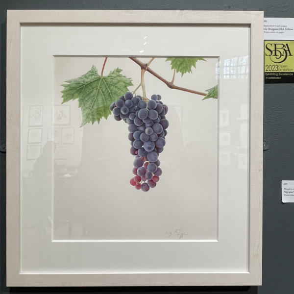 Madresfield Court Grapes by Liz Shippam
