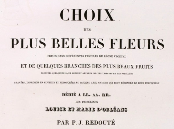 Full title of the Choix des Plus Belles FleursPicture