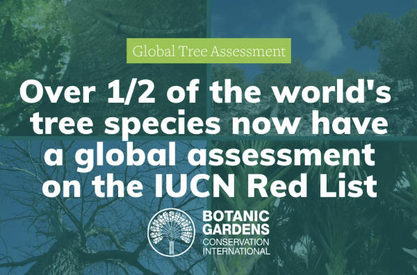GLOBAL TREE ASSESSMENT COMPETITION