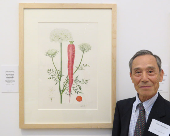 Hideo Horikoshi with his painting of Apiaceae Daucus carota ‘Kintokininjin’