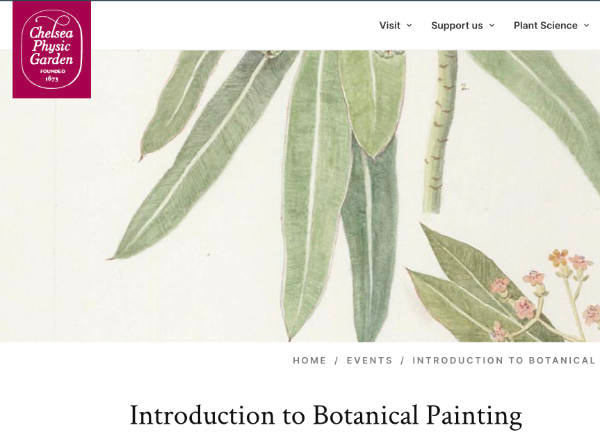 introduction to botanical painting at chelsea physic garden