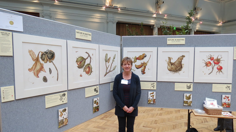 Julia Trickey GM with her RHS Gold medal winning exhibit of 'Nature in Waiting' at the RHS Lindley Hall in 2013