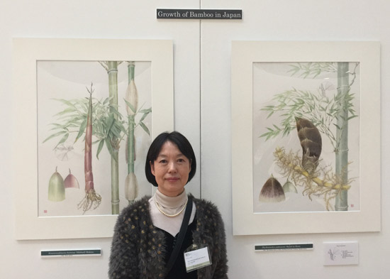 Keiko Fujita - Growth of Bamboo in Japan (RHS 2017)