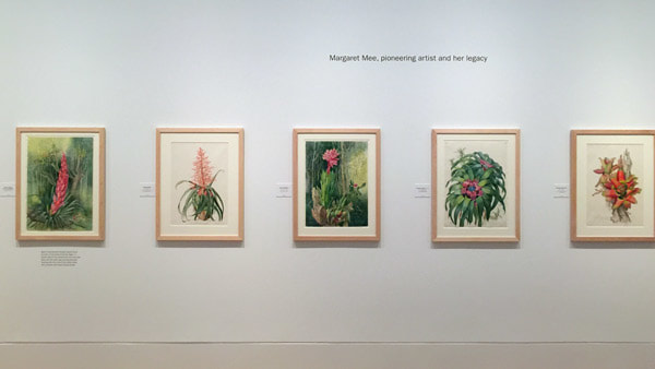 Paintings by Margaret Mee at the the 