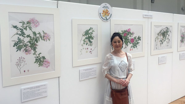 Best Botanical Art Exhibit: Michie Yamada ‘Wild Roses in Japan’