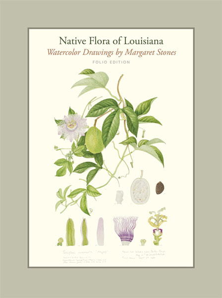 Cover of Native Flora of Louisiana Watercolour Drawings by Margaret Stones