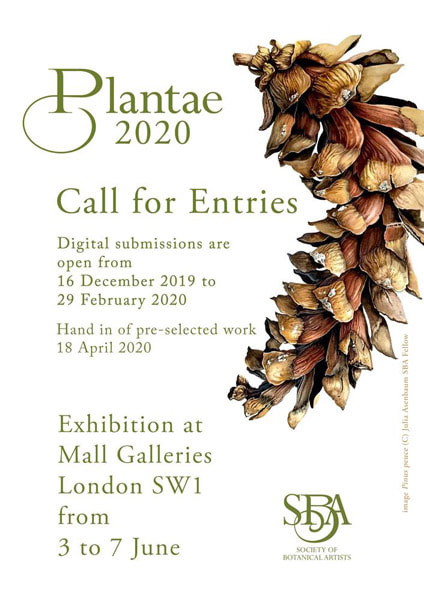 plantae 2020 call for entries