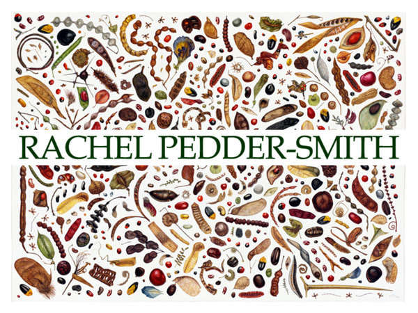 Home Page graphic for Rache Pedder Smith's website