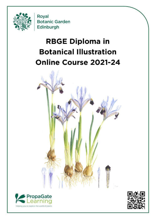 RBGE Diploma in Botanical Illustration 2021-24