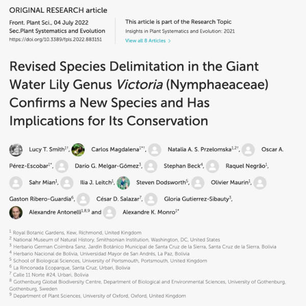 Revised Species Delimitation in the Giant Water Lily Genus Victoria