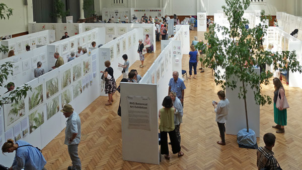 View of part of the RHS Botanical Art Show 2018