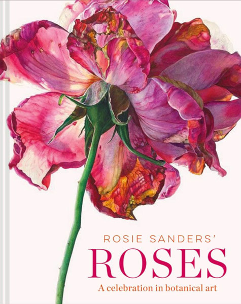 Rosie Sanders Roses