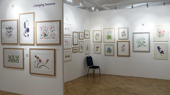 'Changing Seasons' - Society of Botanical Artists Annual Exhibition in 2017