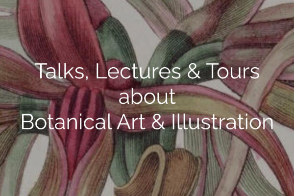 Talks, Lectures & Tours ​about ​Botanical Art & Illustration
