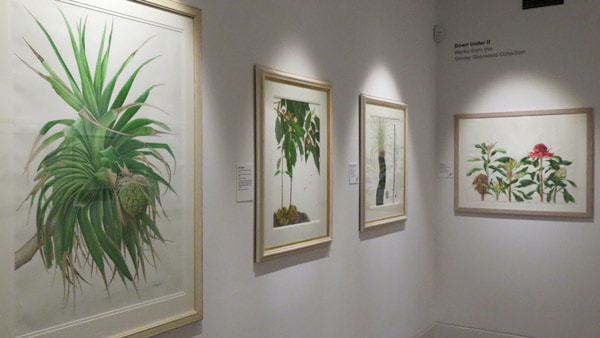 Paintings by Noboru Isogai. Betty Hinton, Bronwyn Van de Graaff and Gill Condy