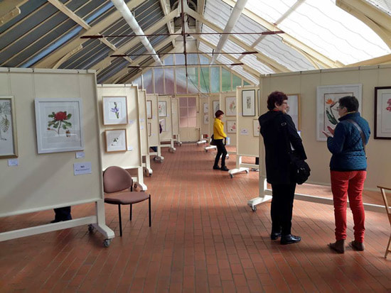 View of the Flora 2017 Exhibition by the Botanical Art Society of Australia at the Royal Botanic Garden Sydney