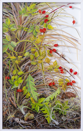 Rosehips by Yanny Petters
